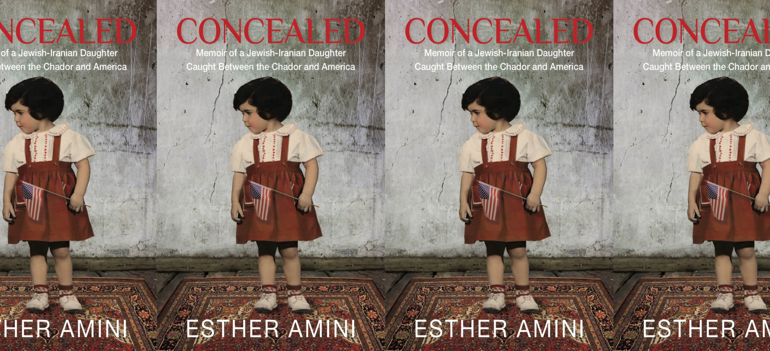 concealed-web.banner
