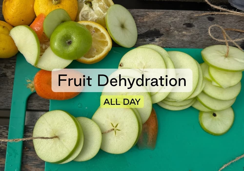 JRF26 Activity – Fruit Dehydration