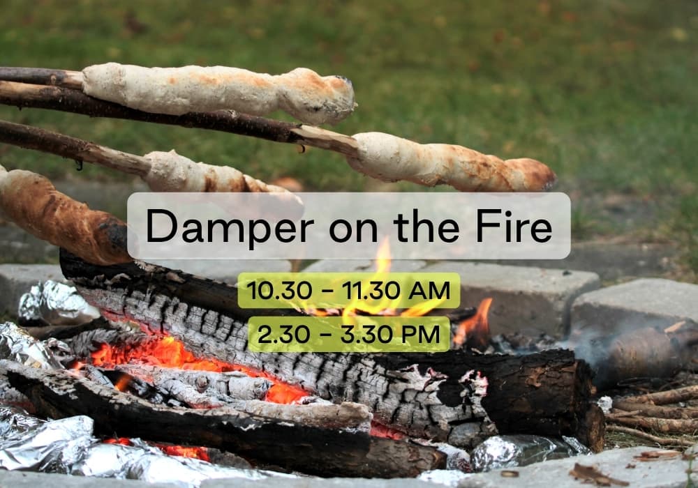 JRF26 – Damper